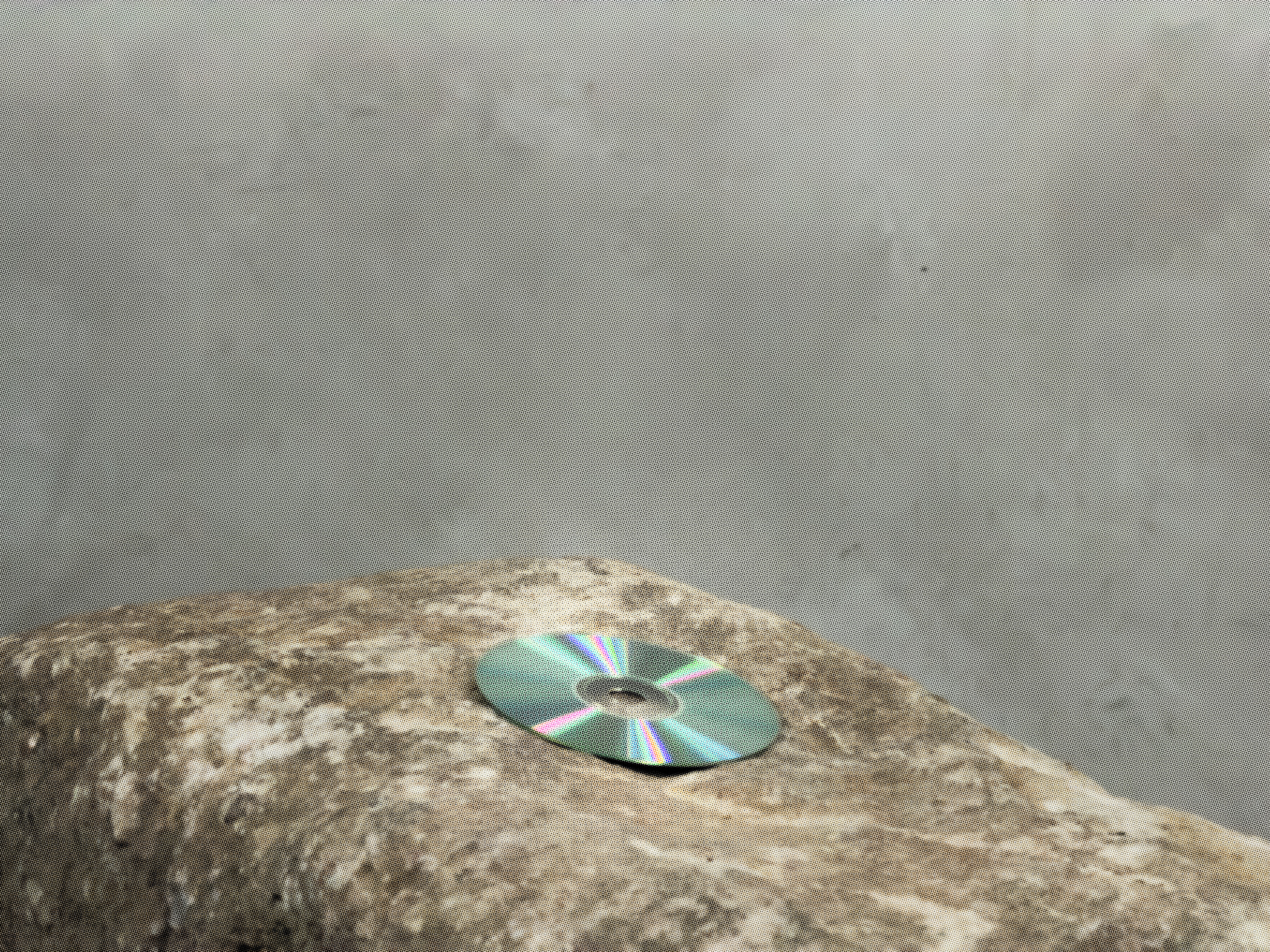Visual works for Matt Proxy — image 5